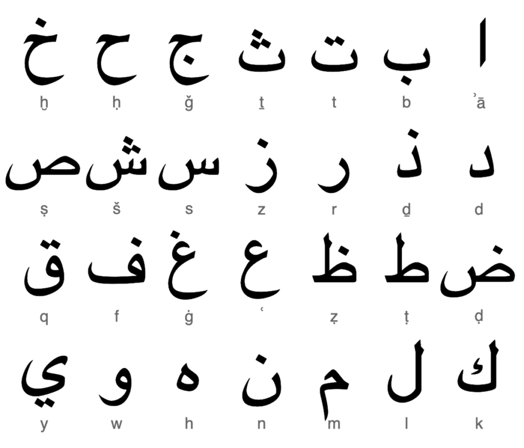 Basic Arabic For Beginners historyploaty