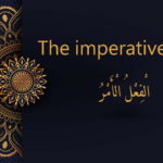 the imperative verb - Arabic free courses