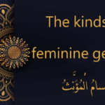 the kinds of feminine gender | Arabic free course