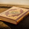 learn the arabic language and quran