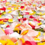 mariage in islam